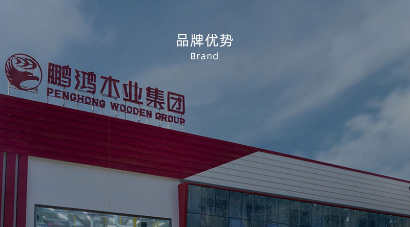 板材品牌、全屋定制品牌、生態(tài)板十大品牌